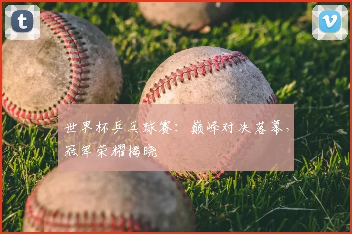 世界杯乒乓球赛：巅峰对决落幕，冠军荣耀揭晓